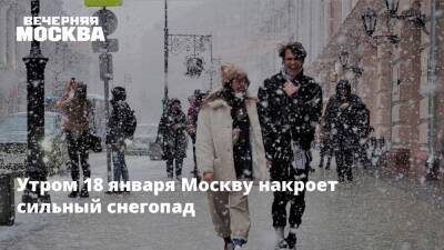 Утром 18 января Москву накроет сильный снегопад