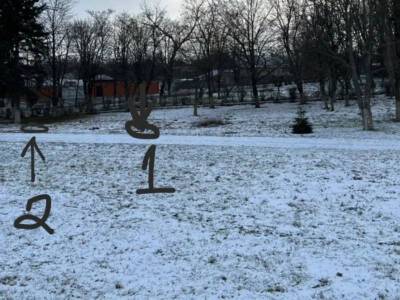 В Ростовской области вандалы срезали три голубые ели, посаженные на мемориале «Жертвам фашизма»