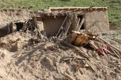Число погибших при землетрясении в Афганистане достигло 26 - aif.ru - Франция - Афганистан - Герат