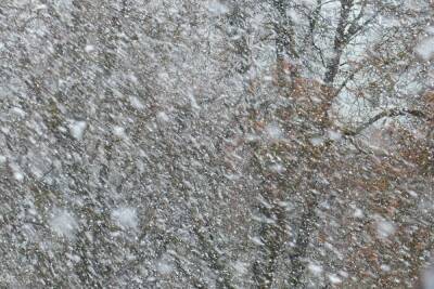В Курской области из-за снегопадов и ветра без света остались 10 932 дома