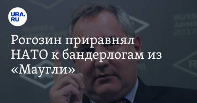 Рогозин приравнял НАТО к бандерлогам из «Маугли»