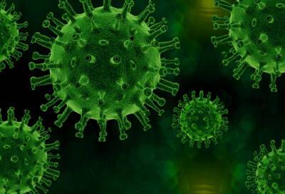 Гинцбург заявил о разработке теста на вируснейтрализующие антитела к "омикрону"