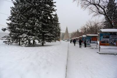 Синоптик назвала самый снежный месяц в Новосибирске за последние 5 лет
