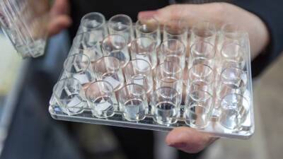 Гинцбург: Разработан тест на нейтрализующие «омикрон» антитела