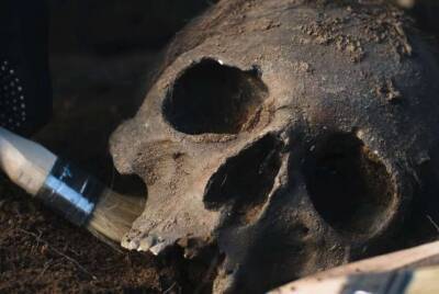 Крупнейший череп древнего человека нашли в Китае