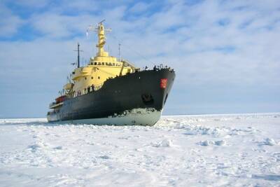 Глава «Росатома» Лихачев раскрыл причины затора судов в Арктике
