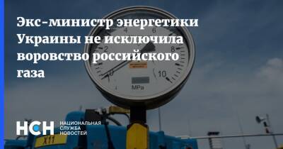 Экс-министр энергетики Украины не исключила воровство российского газа