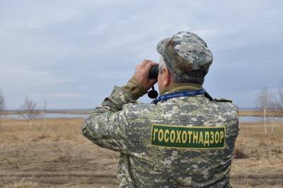 В Челябинской области егеря задержали за незаконный отстрел косули