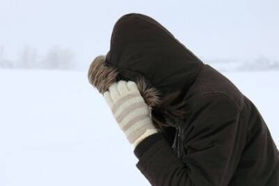 Сильный ветер ожидается в Карелии 18 января