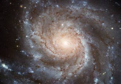Телескоп Hubble запечатлел спиральную галактику NGC 976 с бурным прошлым