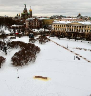 В Петербурге задержали автора арт-объекта в виде гигантских фекалий на Марсовом поле