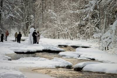 Коммунальщиков наказали за сброс нечистот в реку, текущую через Линдуловскую рощу