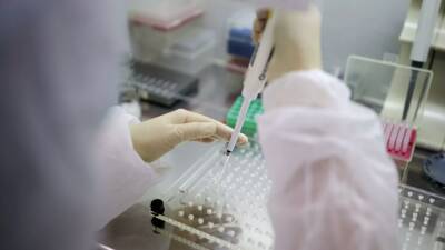 Вирусолог Нетёсов высказался против использования «омикрона» в качестве живой вакцины