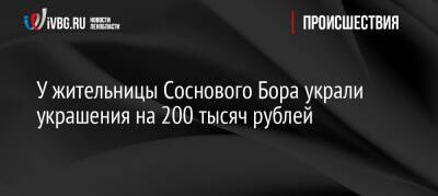 У жительницы Соснового Бора украли украшения на 200 тысяч рублей