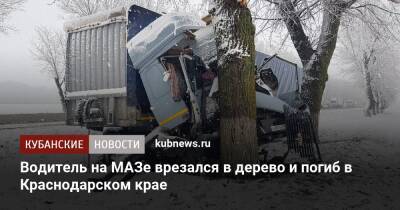 Водитель на МАЗе врезался в дерево и погиб в Краснодарском крае