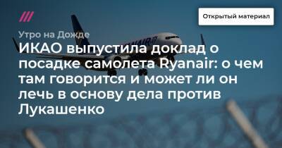 ИКАО выпустила доклад о посадке самолета Ryanair: о чем там говорится и может ли он лечь в основу дела против Лукашенко