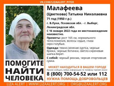 В Выборгском районе ищут без вести пропавшую 71-летнюю женщину