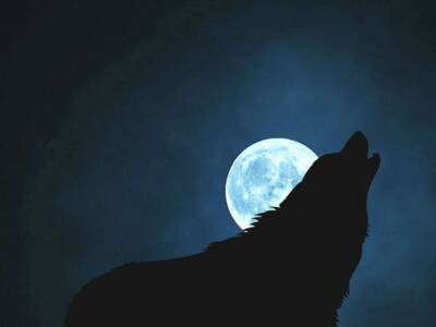 Волчья луна: чего ожидать от январского полнолуния