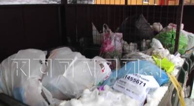 Коммунальщик избил жителя Городца из-за видео с вывозом мусора