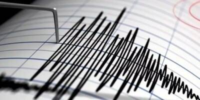 Жители юга Сахалина ощутили землетрясение магнитудой до пяти баллов