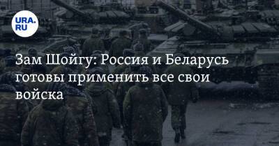 Зам Шойгу: Россия и Беларусь готовы применить все свои войска