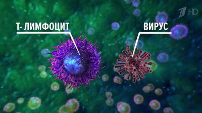 По мнению специалистов, главным инструментом в борьбе с пандемией остается вакцинация