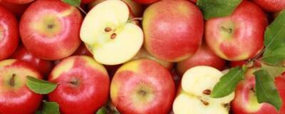 Яблоки являются отличным средством для профилактики образования тромбов