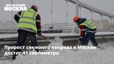Прирост снежного покрова в Москве достиг 41 сантиметра