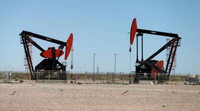 Нефть подорожала до 7-летнего максимума: что повлияло на рост цен