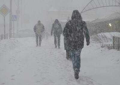 Губернатор Любимов раскритиковал уборку снега в Рязани