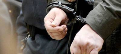 Полицейские поймали рецидивиста, совершившего 17 краж и грабежей в Петрозаводске