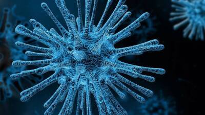 ECDC предупредил о риске двойной пандемии в Европе из-за COVID-19 и сезона гриппа