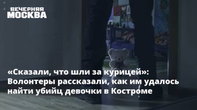 «Сказали, что шли за курицей»: Волонтеры рассказали, как им удалось найти убийц девочки в Костроме - vm.ru - Кострома - Кострома