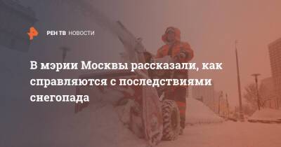 В мэрии Москвы рассказали, как справляются с последствиями снегопада