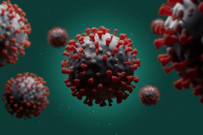 Регулятор ЕС предупредил о риске двойной эпидемии гриппа и COVID-19