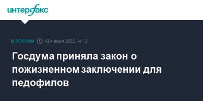 Госдума приняла закон о пожизненном заключении для педофилов