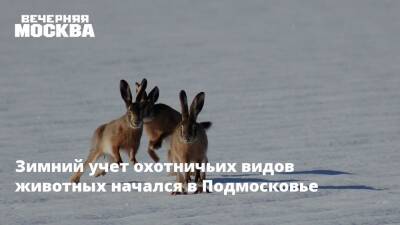 Зимний учет охотничьих видов животных начался в Подмосковье