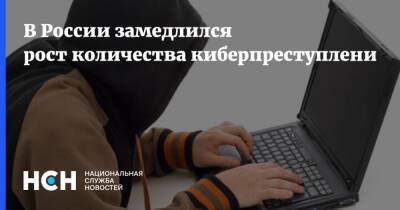 В России замедлился рост количества киберпреступлений