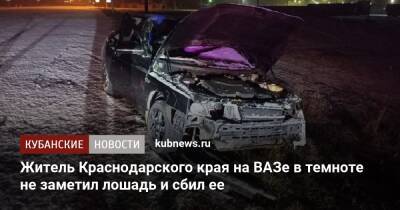 Житель Краснодарского края на ВАЗе в темноте не заметил лошадь и сбил ее