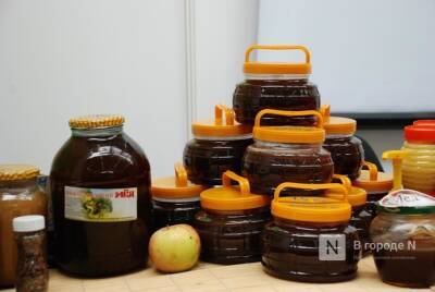 Предприятие по производству меда построят в Нижегородской области