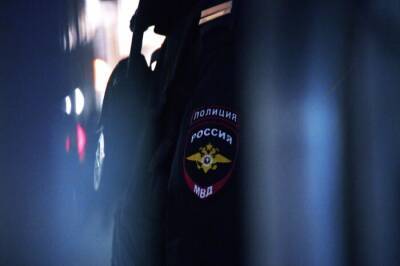В России на четверть выросло за год число преступлений экстремистской направленности - interfax-russia.ru - Россия