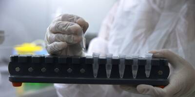 Новую мутацию штамма омикрон обнаружили в Швеции