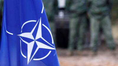 В Киеве призвали НАТО предоставить гарантии безопасности по примеру Японии