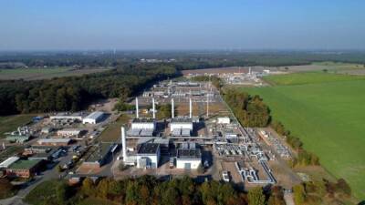 Министерство экономики ФРГ: газа в хранилищах Германии осталось на 18 дней