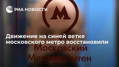 Движение на синей ветке московского метро восстановили после инцидента с человеком на пути