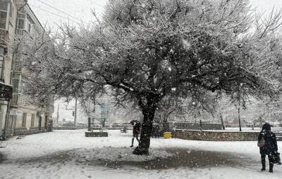 В Краснодаре после сильного дождя со снегом затопило 13 улиц