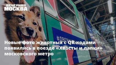 Новые фото животных с QR-кодами появились в поезде «Хвосты и лапки» московского метро