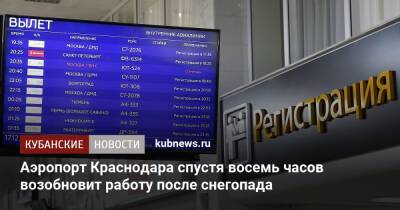 Аэропорт Краснодара спустя восемь часов возобновит работу после снегопада