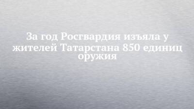 За год Росгвардия изъяла у жителей Татарстана 850 единиц оружия