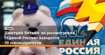 Дмитрий Вяткин: нарассмотрении «Единой России» находятся 55 законопроектов
